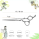 Перукарські ножиці Sway Infinite 110 11260 розмір 6 110 11260 фото 2